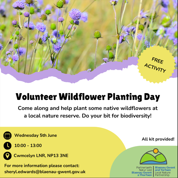 Volunteer Wildflower Planting Day