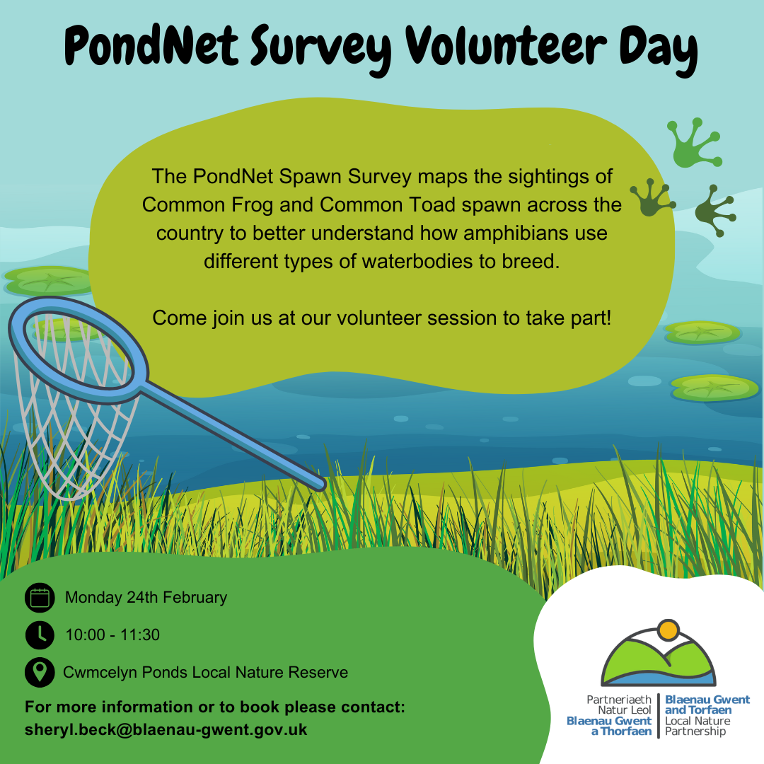 Volunteer session on the Common Frog and Common Toad Spawn