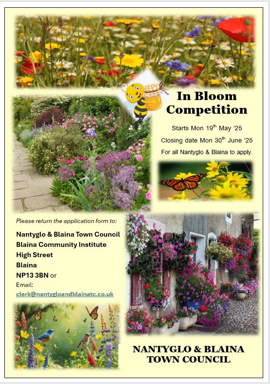 In Bloom Competition